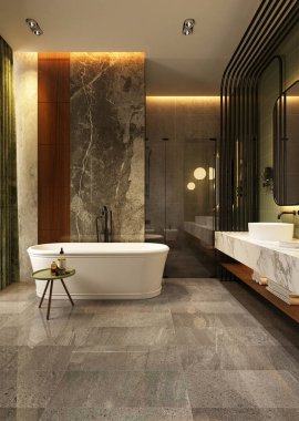 3D banyo içi görüntüleme