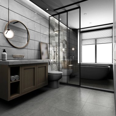 3D banyo içi görüntüleme
