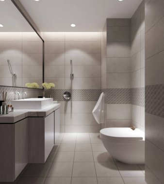 3D banyo içi görüntüleme