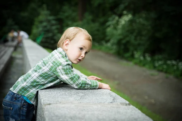 The toddler boy — Stock Photo, Image