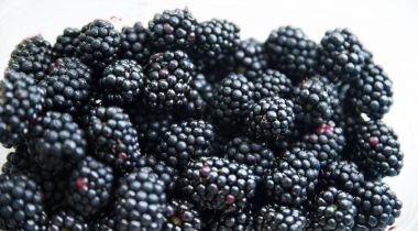 Böğürtlen bir beyaz