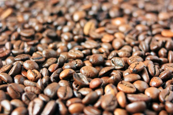 新鲜烘烤的咖啡豆 — 图库照片