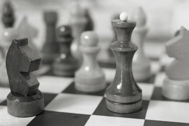 Satranç tahtasında satranç kraliçesi