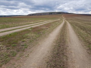 Tarladaki toprak yol.