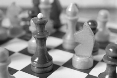 Satranç tahtasında satranç kraliçesi