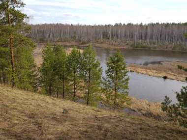 Nehrin kıyısında ağaçlar yetişir.