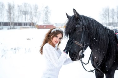 güzel bir kız ve yakışıklı bir aygır, bir atı portre