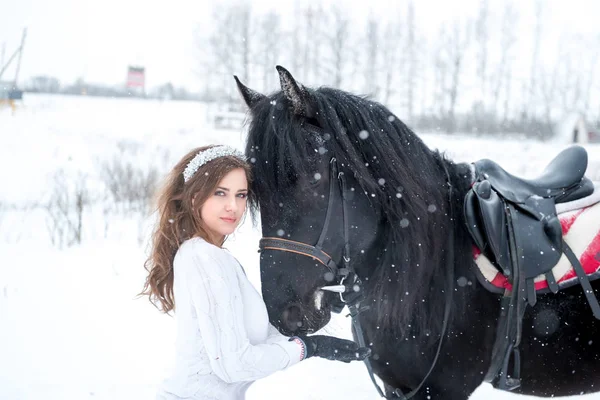 Portret pięknej dziewczyny i urodziwy ogier, konia w — Zdjęcie stockowe