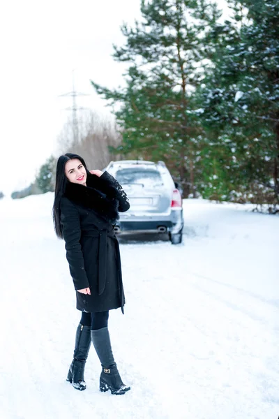 Portret pięknej młodej dziewczyny na tle p zima — Zdjęcie stockowe