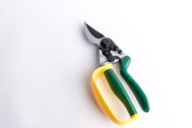 Yeşil bahçe secateur kol koruma sarı-beyaz backg