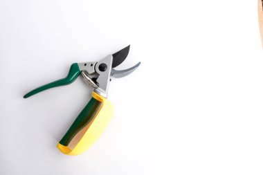 Yeşil bahçe secateur kol koruma sarı-beyaz backg