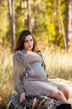 şık bir dre içinde güzel bir genç hamile kız portresi