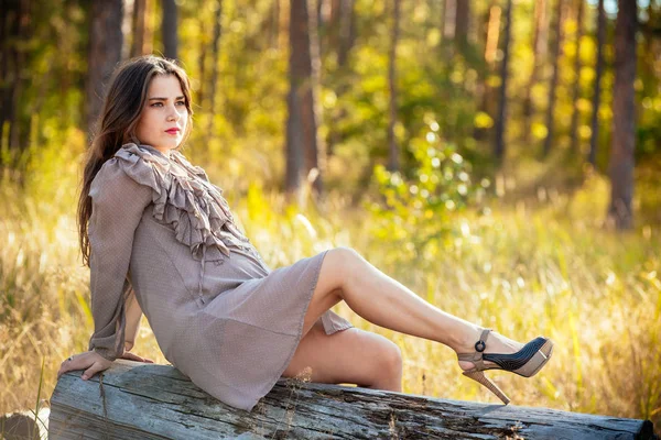 şık bir dre içinde güzel bir genç hamile kız portresi