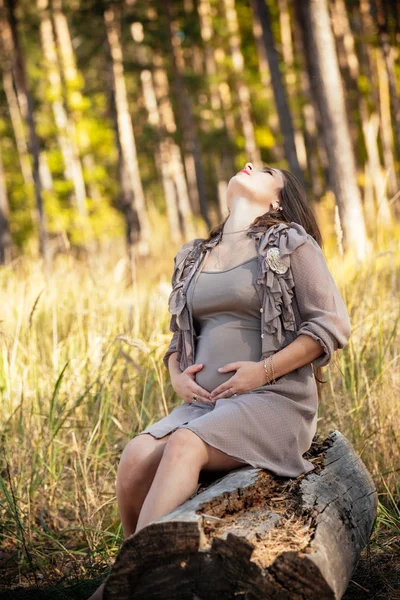 Retrato de una hermosa joven embarazada en un dre de moda — Foto de Stock