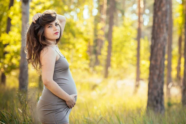 Retrato de una hermosa joven embarazada en un dre de moda — Foto de Stock