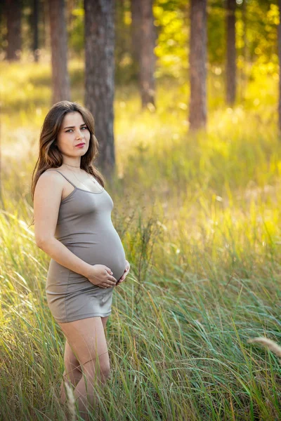 şık bir dre içinde güzel bir genç hamile kız portresi