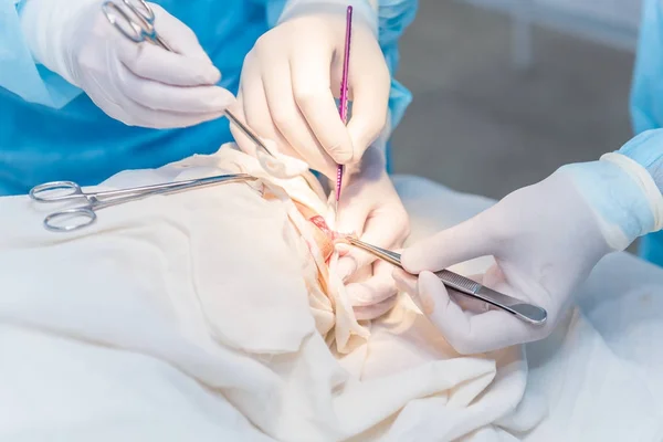 bir uzak ath üzerinde işlemler yapmak bir cerrahın doktor eller