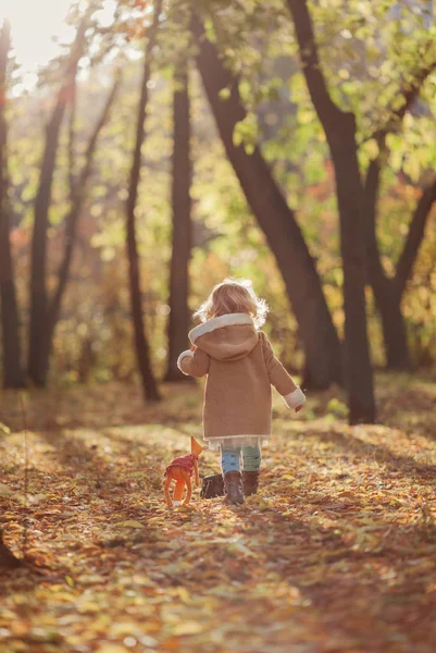 Porträt eines hübschen, nachdenklichen Mädchens im Herbstpark — Stockfoto