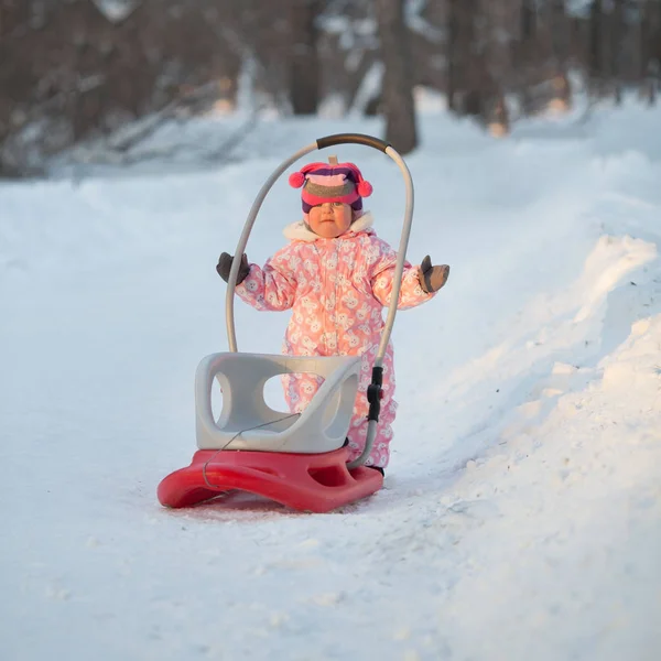 Happy girl carries sled in snow, winter, — Stock Photo, Image