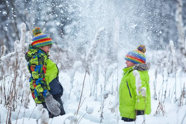 Vrolijke happy jongens spelen in winter park, — Stockfoto