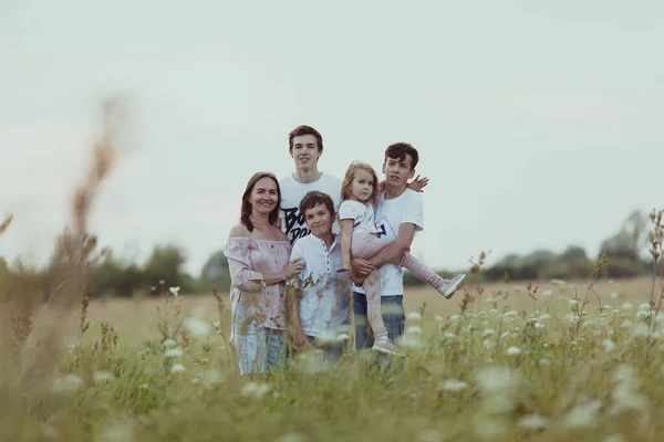Portret van een grote gelukkige familie op een achtergrond van de zomer natuur, een wandeling in het veld — Stockfoto
