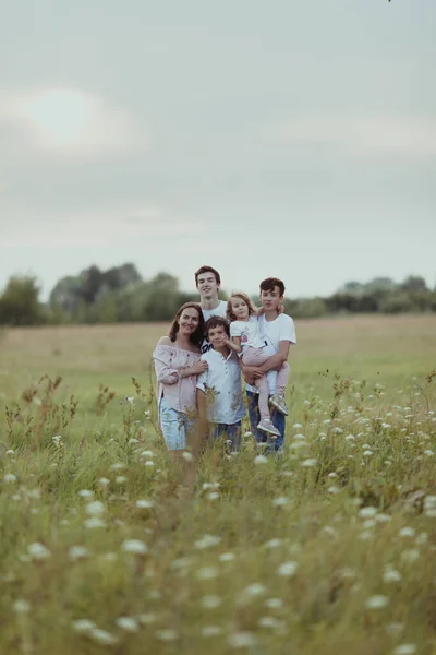 Portrét velké šťastné rodiny na pozadí letní přírody, procházka po poli — Stock fotografie
