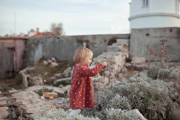 Porträt eines kleinen hübschen Mädchens in einer Jacke. ein Kind spaziert im sonnigen Herbst — Stockfoto