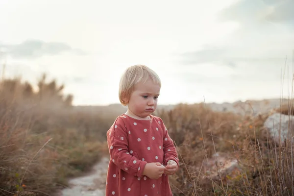 Porträt eines kleinen hübschen Mädchens in einem roten Kleid. ein Kind spaziert im sonnigen Herbst — Stockfoto