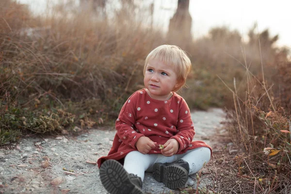 Porträt eines kleinen hübschen Mädchens in einem roten Kleid. ein Kind spaziert im sonnigen Herbst — Stockfoto