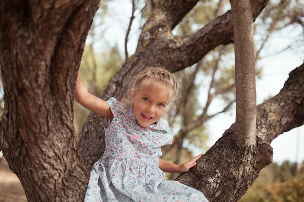 Emotionales Porträt eines positiven und fröhlichen kleinen Mädchens, das im Park spazieren geht. ein Kind in einem Kleid sitzt auf einem Baum. glückliche Kindheit. Sommerzeit. Sommerurlaub in der Natur — Stockfoto
