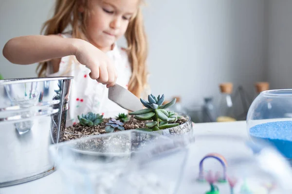 Beautiful Girl Plants Succulents Glass Florarium Lesson Creativity Studio — Stock Photo, Image