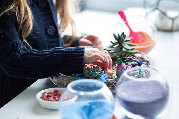 Beautiful Girl Plants Succulents Glass Florarium Lesson Creativity Studio — Stock Photo, Image