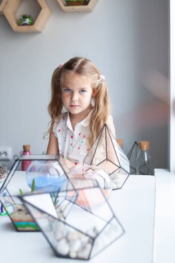 Güzel kız, bir yaratıcılık stüdyosundaki derste cam floraryuma sulu bitkiler ekiyor.