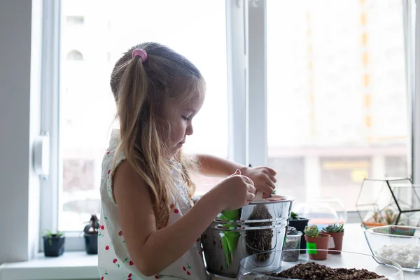 Beautiful Girl Plants Succulents Glass Florarium Lesson Creativity Studio — Stock Photo, Image