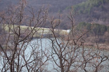 Yapraksız bahar ağaçları bir dağ gölünün ve dağların arka planında, sakin ve dingin.