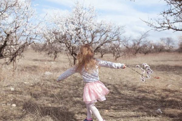 Šťastná Krásná Dívka Běží Točí Kvetoucí Mandlové Zahradě Venkovní — Stock fotografie