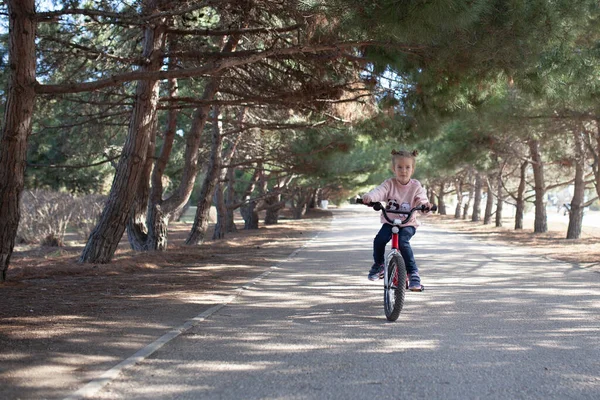 Klein Meisje Fietst Langs Een Dennensteeg Een Voorjaarspark Buiten — Stockfoto