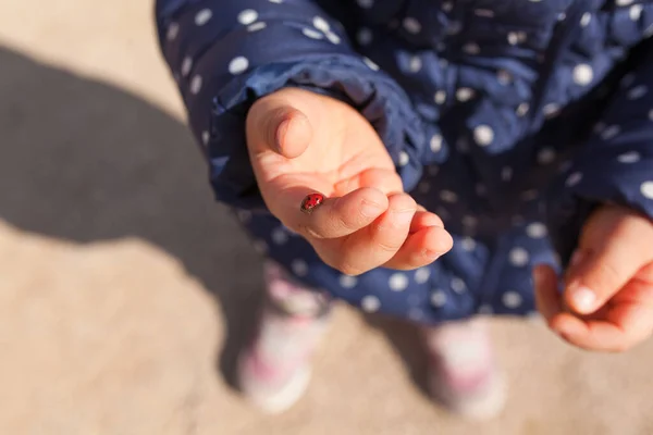 Klein Meisje Met Een Lieveheersbeestje Haar Hand Close — Stockfoto