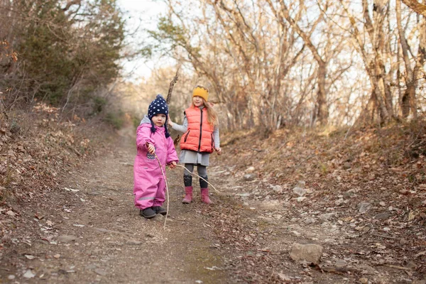 Die Kinder Wandern Frühlingswald Frische Waldluft Ist Gut Für Die — Stockfoto