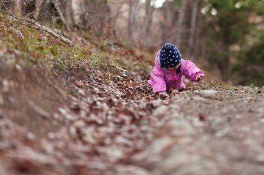 Küçük bir çocuk sonbahar ormanında yürür, pembe tulum ve şapka giymiş bir kız, temiz orman havası çocukların sağlığı için iyidir, Toddler orman yolunda oturur.