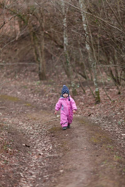 Ένα Μικρό Παιδί Περπατά Στο Δάσος Του Φθινοπώρου Ένα Κορίτσι — Φωτογραφία Αρχείου