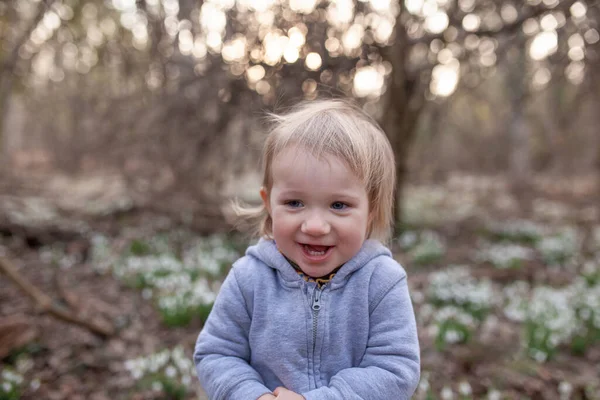 Маленька Гарненька Дівчинка Чистці Пролісок Дитина Гуляє Весняному Лісі — стокове фото