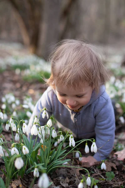 Niña Bonita Claro Gotas Nieve Niño Camina Bosque Primavera —  Fotos de Stock