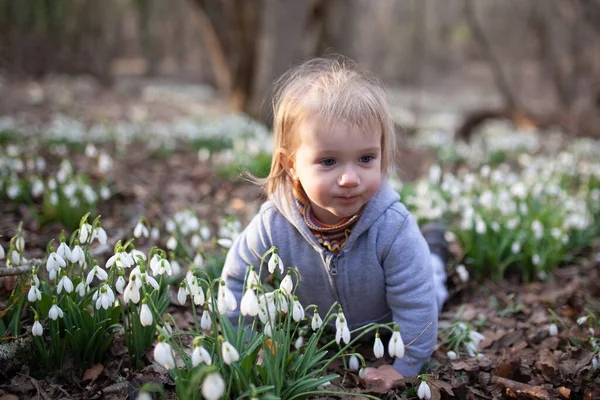 Kleines Hübsches Mädchen Auf Einer Lichtung Von Schneeglöckchen Ein Kind — Stockfoto