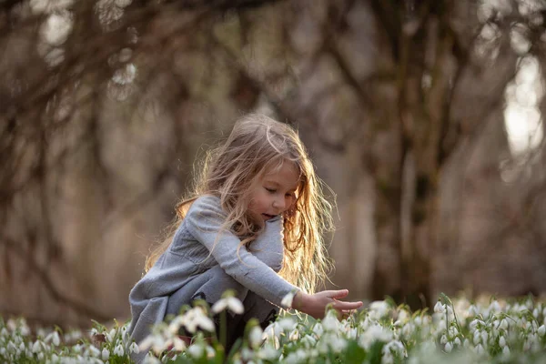 Маленька Гарненька Дівчинка Чистці Пролісок Дитина Гуляє Весняному Лісі — стокове фото