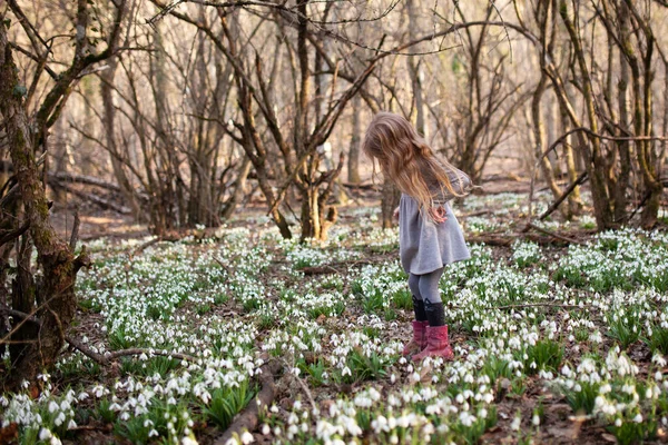 Uma Menina Bonita Numa Clareira Gotas Neve Uma Criança Caminha — Fotografia de Stock