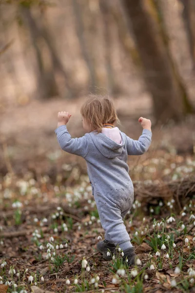 Niña Bonita Claro Gotas Nieve Niño Camina Bosque Primavera —  Fotos de Stock