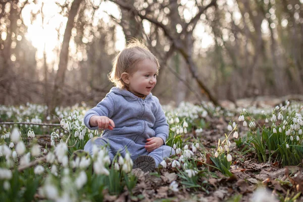 Csinos Kislány Hóvirág Tisztáson Egy Gyerek Sétál Tavaszi Erdőben — Stock Fotó