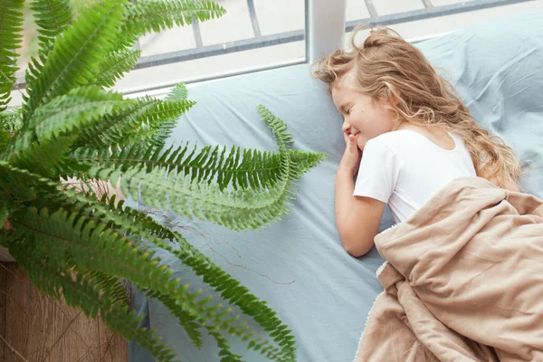 Feliz Chica Alegre Encuentra Sofá Azul Cerca Ventana Niño Sonríe —  Fotos de Stock