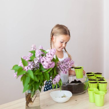 Beyaz tişörtlü küçük bir kız yeşil saksılara bezelye tohumu ekiyor, bir çocuk bitkilerle ilgileniyor, pencerenin kenarında bir ev bahçesi var.